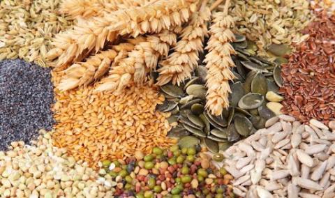 Мінекономіки підтримало зміни до законів про насіння та охорону прав на сорти рослин Рис.1