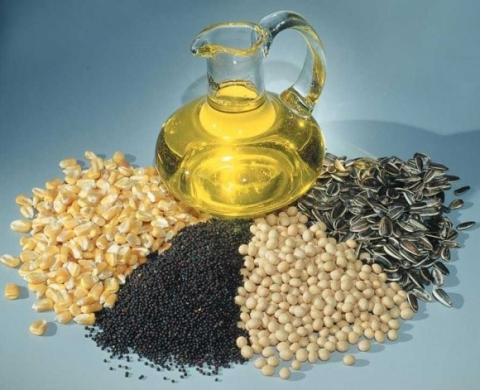 Парламент ухвалив президентський закон про сертифікацію олійних та насіння буряка Рис.1