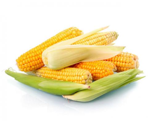 Солодка кукурудза – не тільки смачна їжа, а й корисні ліки Рис.1