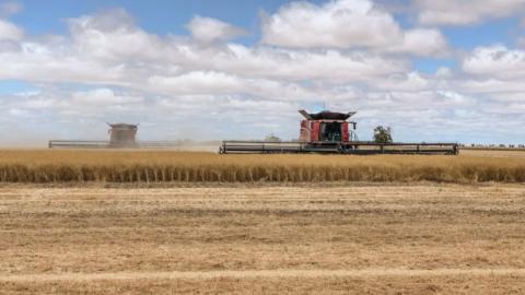 У Канаді розробили жатку шириною 18,3 м для австралійських аграріїв Рис.1