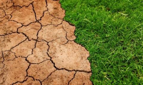 У НААН наголошують на впровадженні загальнодержавних заходів боротьби з весняною посухою Рис.1