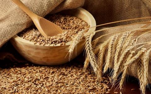 Україна може ввести заборону на експорт пшениці, - Мінекономіки Рис.1