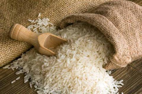 Україна вперше експортувала рисове насіння Рис.1