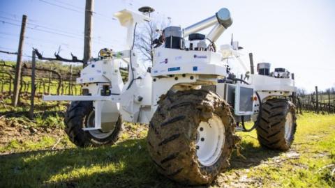 Yanmar запустив випробування автономних роботів для сільського господарства Рис.1