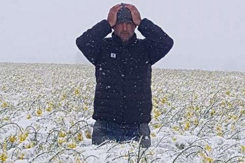 Польщу засипало снігом: фермери хапаються за голову Рис.1