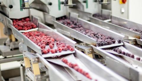 Сезон-2020 виграють ті виробники заморожених ягід, які матимуть якісну продукцію Рис.1