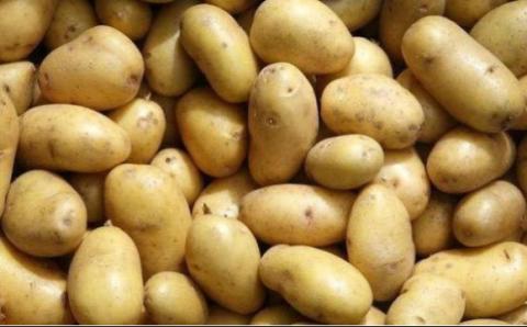 Україна збільшила імпорт російської картоплі на 20% Рис.1