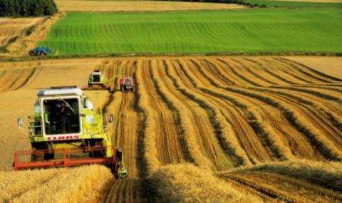 Уряд направив більше півмільярда грн на погашення заборгованості перед аграріями за 2019 рік - Ігор Петрашко Рис.1