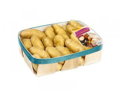 В Україну вперше завезли картоплю з Франції Рис.1