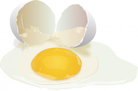 Вчені створили розчин на основі яєчного білка, який збільшує термін придатності фруктів на тиждень Рис.1