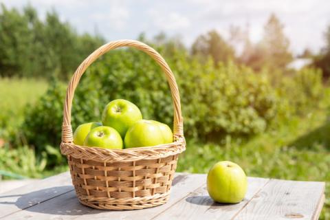 Зелене яблуко – доступна і корисна альтернатива дорогому імбиру Рис.1