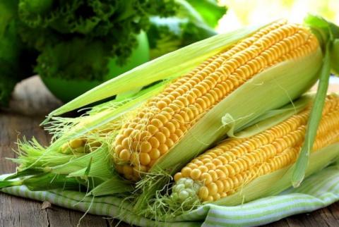 Китай планує вирощувати високобілкову кукурудзу Рис.1