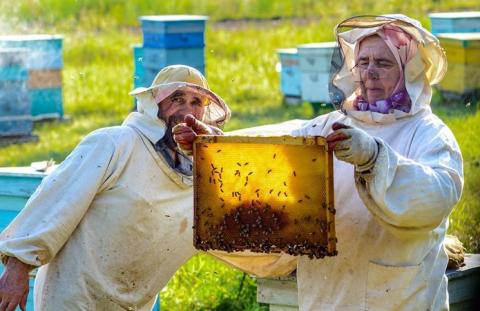 Медова біржа спростить експорт для українських бджолярів Рис.1