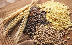 На зовнішніх ринках українське насіння реалізується за нижчими цінами Рис.1