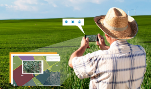 Нові можливості обстеження поля за допомогою мобільного додатку «Агроскаутінг» від Soft.Farm Рис.1