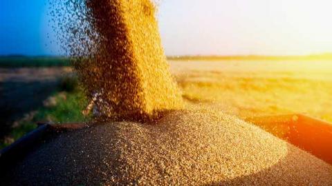 Україна може повторити минулорічний рекордний урожай зерна, - УЗА Рис.1
