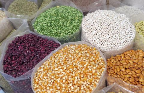 В Україні вдосконалять Порядок проведення сертифікації насіння та садивного матеріалу Рис.1