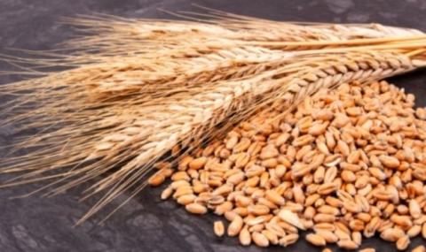 Аграрії Дніпропетровщини зібрали перший мільйон тонн зерна Рис.1