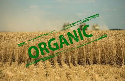 Агрофірма Астарти пройшла сертифікацію виробника органіки Рис.1