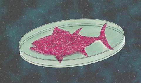 Американські вчені виростили рибне м’ясо в умовах космічного корабля Рис.1