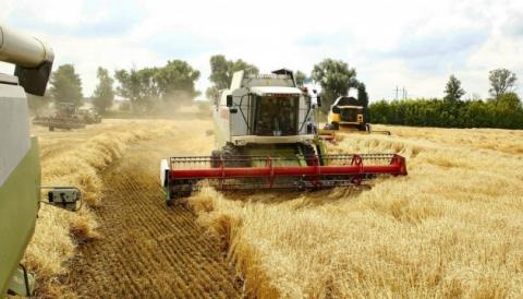 Філії АТ «ДПЗКУ» розпочали прийом зерна нового врожаю Рис.1