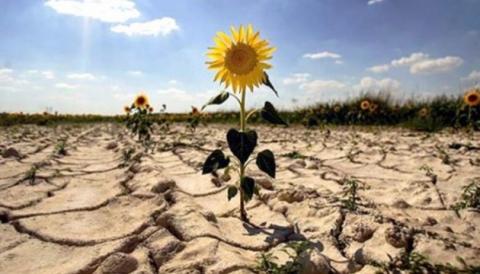 Україна стала світовим лідером за зростанням середньорічної температури Рис.1