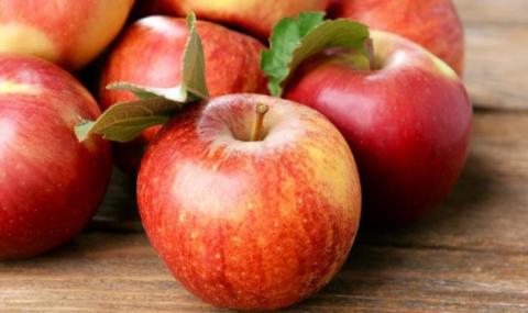 Українські садівники знижують ціни на яблуко нового врожаю Рис.1