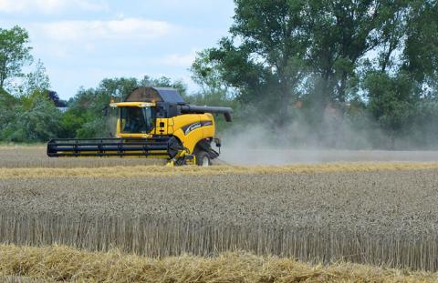 Жнива-2020: В Україні вже зібрано 1,1 млн тонн зерна Рис.1