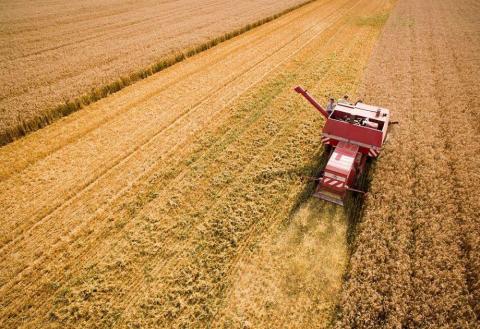Жнива-2020: В Україні вже зібрано 20,6 млн тонн зерна Рис.1