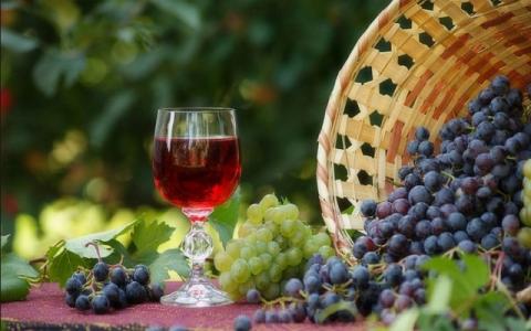 Для порятунку виноробства пропонують скасувати акциз Рис.1