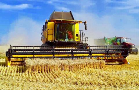 ІМК отримала врожайність озимої пшениці на 50% вище середньої по країні Рис.1