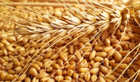 Мінекономіки та учасники зернового ринку погодили граничні обсяги експорту пшениці на 2020/21 МР Рис.1