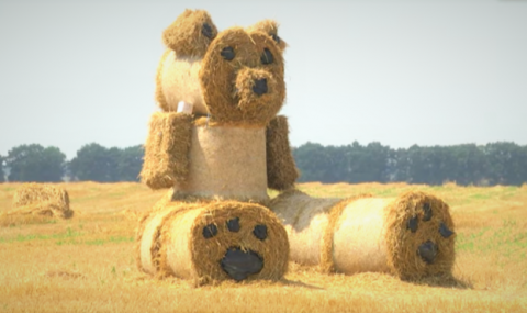На Чернігівщині аграрії створили гігантського «ведмедика» із солом’яних тюків Рис.1
