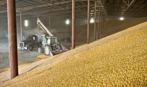Ніжинський елеватор Grain Alliance цього сезону вже обробив понад 6 тис. тонн зерна Рис.1