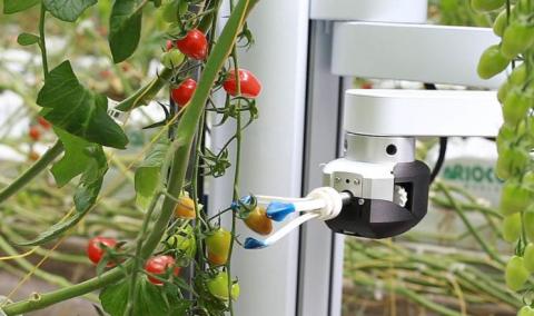 Стартап створив робота, здатного прибирати урожай овочів і фруктів Рис.1