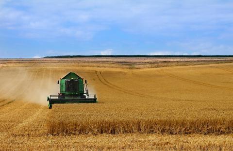 У Ristone Holdings зібрали ранні зернові з урожайністю, вищою за середню Рис.1