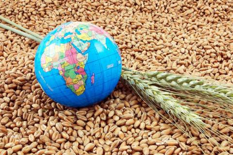 Україна експортувала 4,1 млн тонн зерна нового врожаю Джерело: Agravery.com Рис.1