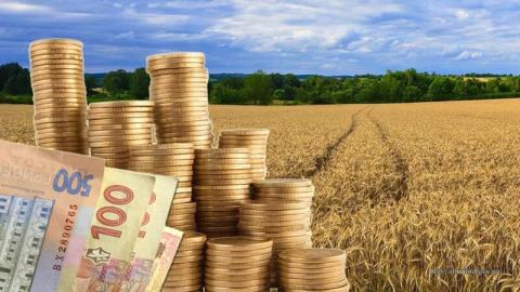 Уряд направив аграріям 125 млн грн на часткову компенсацію відсотків за користування кредитами Рис.1