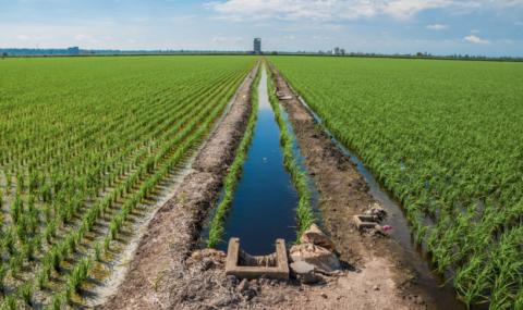 В Україні названо шляхи реформування водної галузі Рис.1