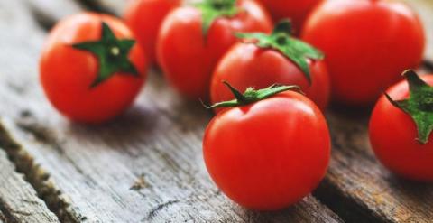Вчені Колумбії виводять помідори з високим вмістом антиоксидантів Рис.1