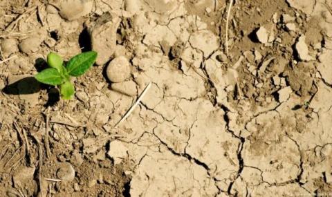 Повітряно-ґрунтова посуха в Україні посилюється — Укргідрометеоцентр Рис.1