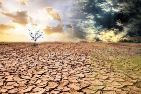Світу загрожує глобальна катастрофічна посуха Рис.1