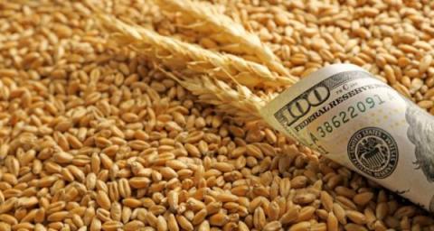 В Україні фермери активізували продажі пшениці через зростання ціни Рис.1