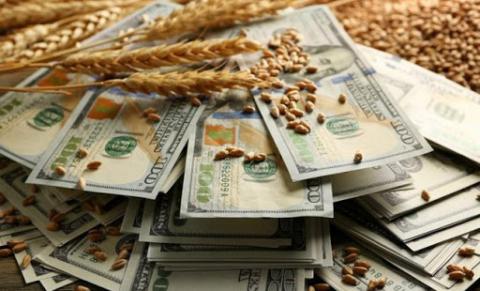 В Україні готують масштабну перевірку постачальників зерна Рис.1