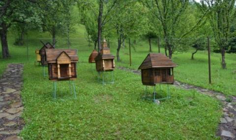 В Україні створили першу пасіку з рідкісними автохтонними бджолами Рис.1