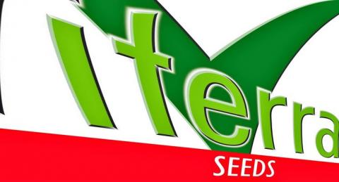 Viterra Seed виходить на ринок України Рис.1