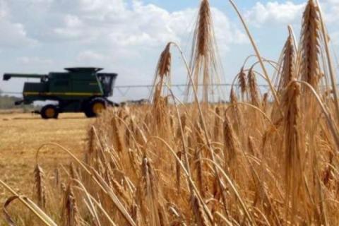 На Вінниччині намолочено майже 2 млн тонн кукурудзи Рис.1
