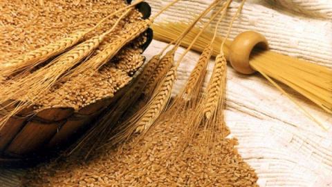 Обсяги експорту зерна не переглядатимуть до кінця року, – Висоцький Рис.1