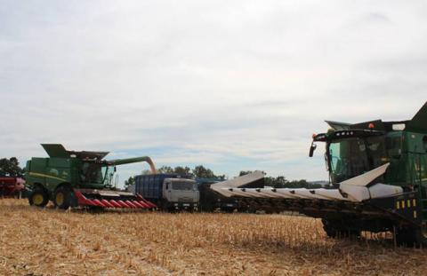 Ольгополь обмолотила 20% кукурудзи: врожайність — нижча минулорічної Рис.1
