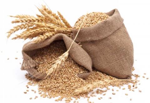 В Україні на третину зменшилися запаси зерна Рис.1